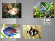 Презентация по биологии на тему Рыбы