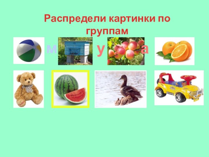 Распредели картинки по группаммуа