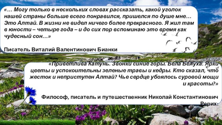 «… Могу только в нескольких словах рассказать, какой уголок нашей страны больше