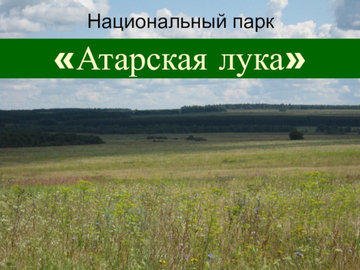 «Атарская лука»Национальный парк