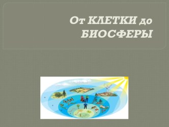 Презентация по биологии на тему От клетки до биосферы ( 7 класс)