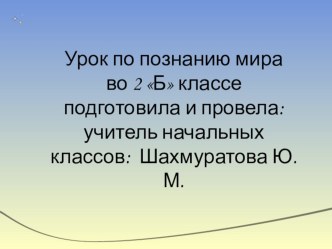 Презентация по познанию мира на тему: Животным нужен воздух