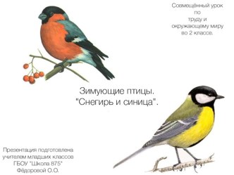 Интегрированный урок по технологии и окружающему миру Зимующие птицы 2 класс (презентация).