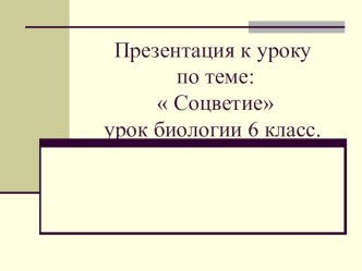 Презентация к конспекту урока на тему Соцветие