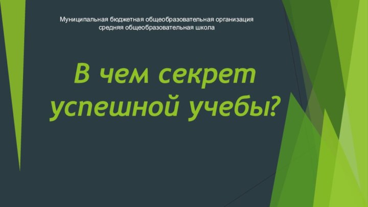 В чем секрет успешной учебы? Муниципальная бюджетная общеобразовательная организация средняя общеобразовательная школа