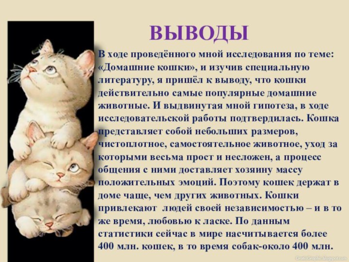 ВЫВОДЫВ ходе проведённого мной исследования по теме: «Домашние кошки», и изучив специальную