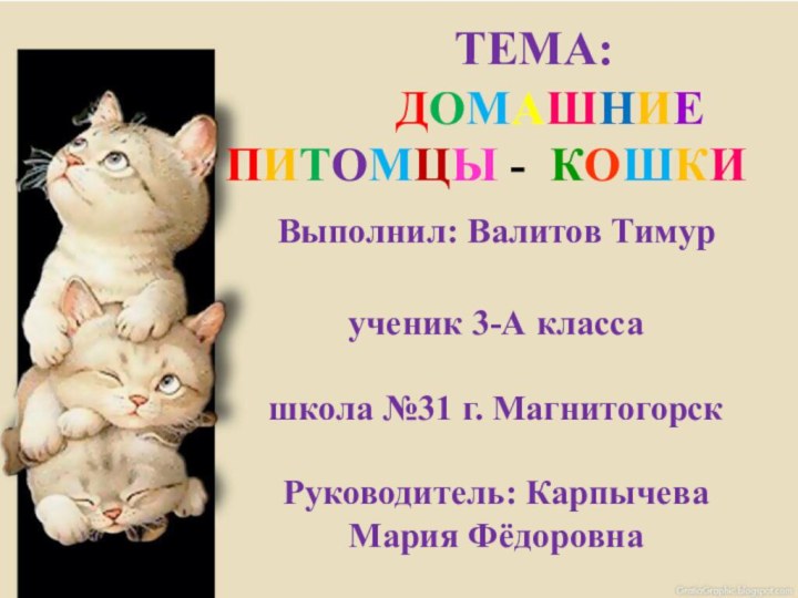 ТЕМА: