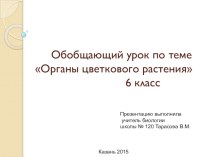 Презентация по биологии на тему  Органы цветкового растения  6 класс