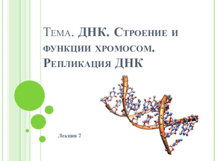 Тема. ДНК. Строение и функции хромосом. Репликация ДНКЛекция 7