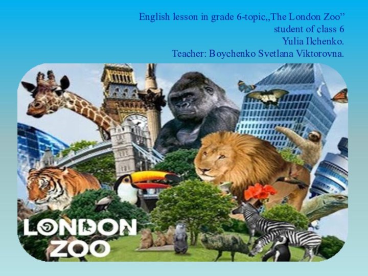 English lesson in grade 6-topic,,The London Zoo” student of class 6 Yulia