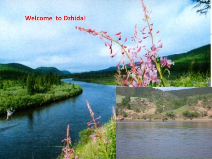 Welcome to Dzhida!