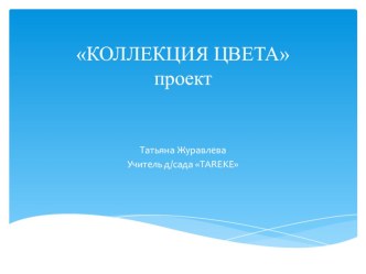 Презентация проекта Коллекция цвета