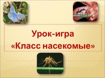 Обобщающий урок -игра по теме Класс насекомые.
