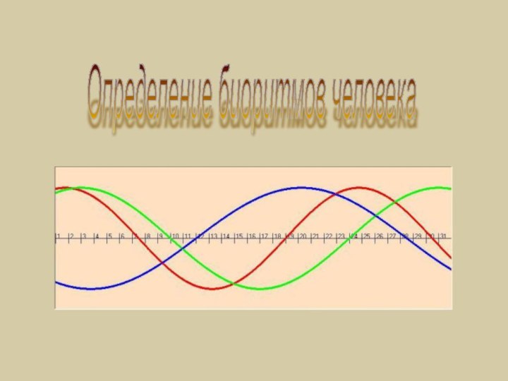 Определение биоритмов человека