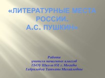 Презентация по литературному чтению А.С. Пушкин (4 класс)