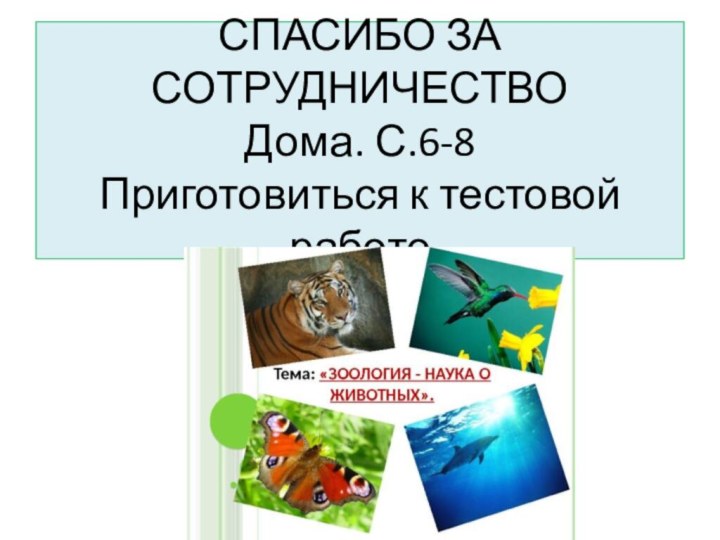 СПАСИБО ЗА СОТРУДНИЧЕСТВО Дома. С.6-8 Приготовиться к тестовой работе