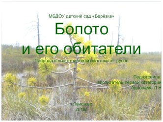 Презентация по природе в подготовительной к школе группе на тему Болото и его обитатели