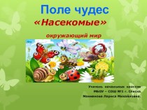 Урок - игра по окружающему миру на тему  Насекомые ( 1класс)