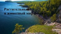 Презентация по географии на тему Растительный и животный мир России
