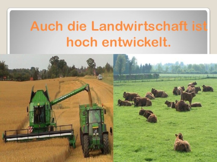 Auch die Landwirtschaft ist hoch entwickelt.