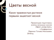 Презентация по окружающему миру для 3класса