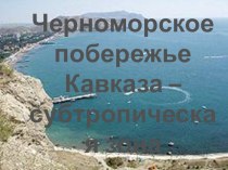 Презентация Черноморское побережье Кавказа - субтропическая зона