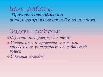 Презентация к исследовательской работе Изучение интеллектуальных способностей кошки