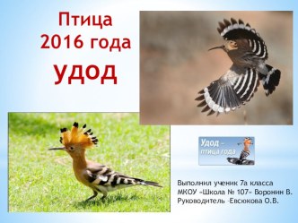Районный конкурс презентаций Птица 2016 года -удод
