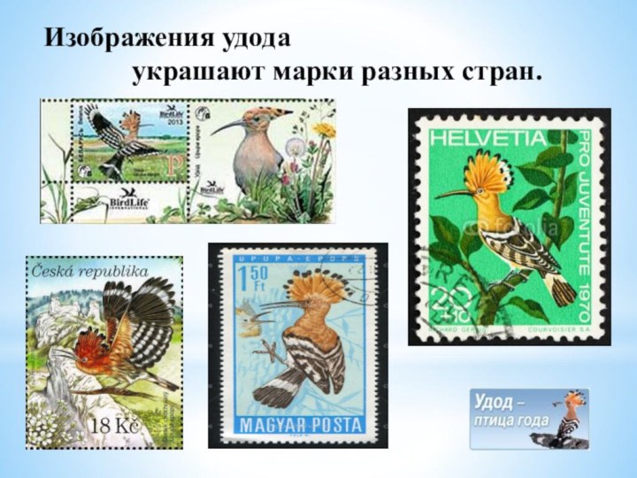 Изображения удода украшают марки разных стран.