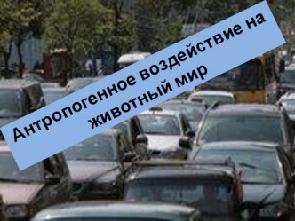 Презентация к уроку Антропогенное воздействие на численность животного мира (7 класс)