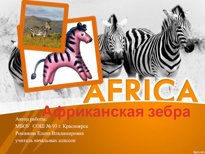 Автор работы:МБОУ СОШ № 93 г. КрасноярскРоманова Елена Владимировнаучитель начальных классовАфриканская зебра