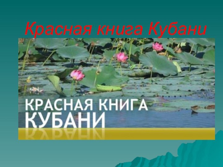 Красная книга Кубани