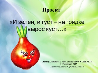 Презентация проекта И зелен и густ - на грядке вырос куст.