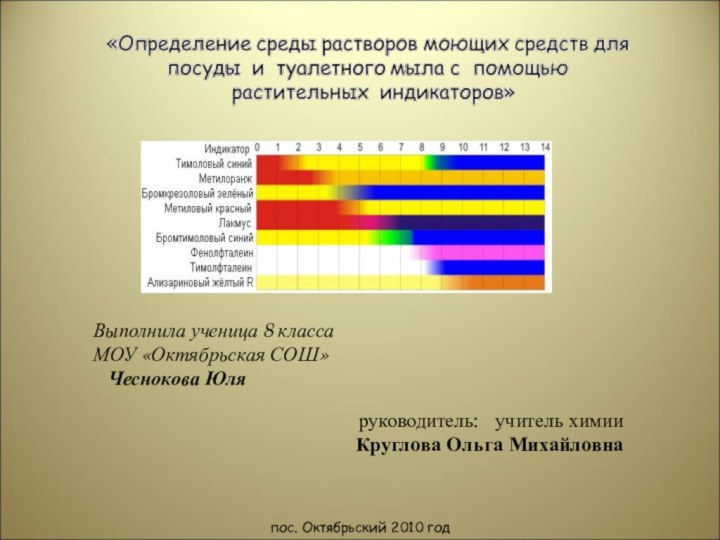 руководитель:  учитель химии Круглова Ольга Михайловна пос. Октябрьский 2010 годВыполнила ученица