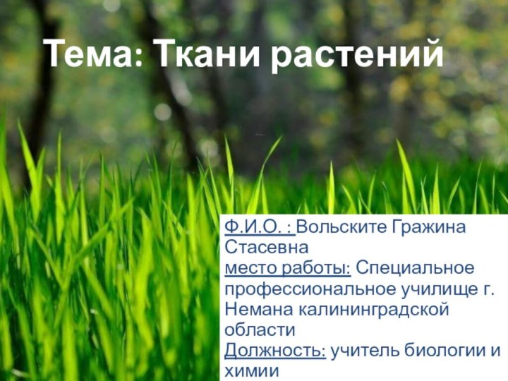 Тема: Ткани растенийФ.И.О. : Вольските Гражина Стасевна место работы: Специальное профессиональное училище