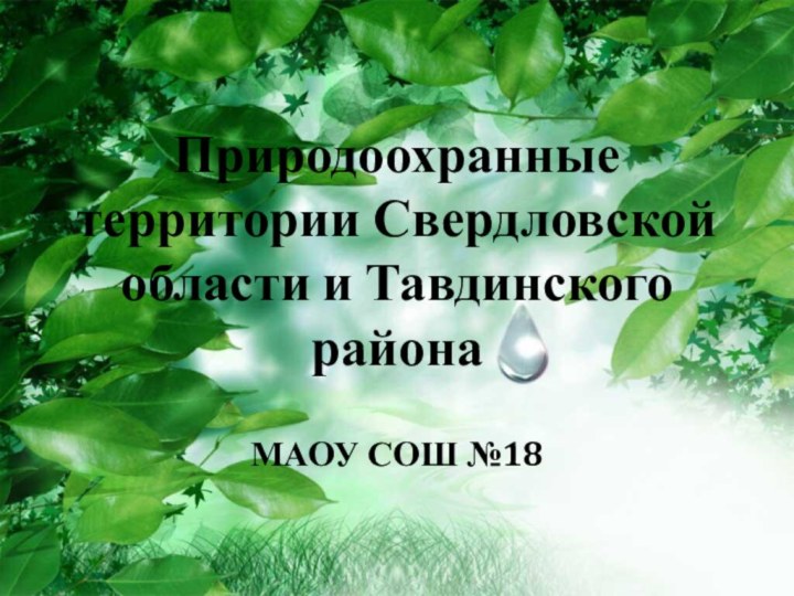 Природоохранные территории Свердловской области и Тавдинского районаМАОУ СОШ №18