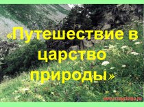 Презентация по окружающему миру на тему Царство природы (2 класс)