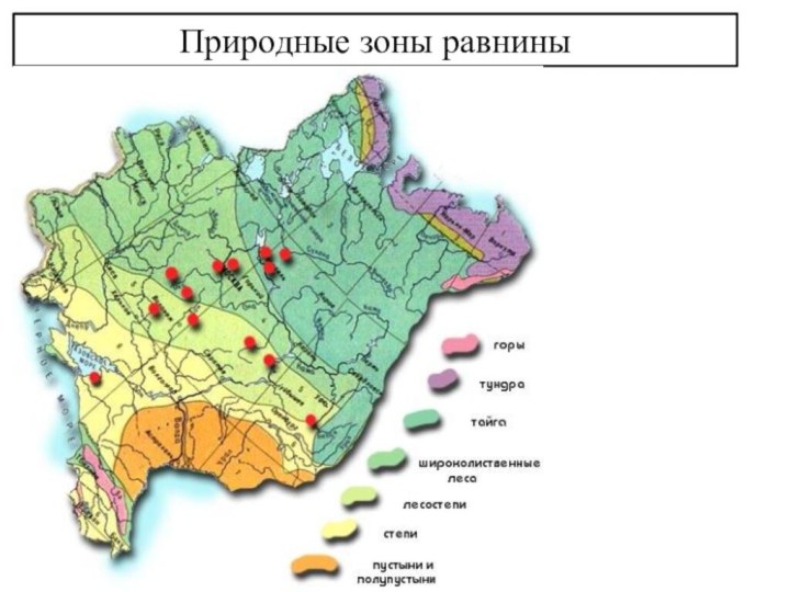 Положение в природных зонах восточно европейской