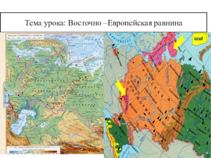 Тема урока: Восточно –Европейская равнина