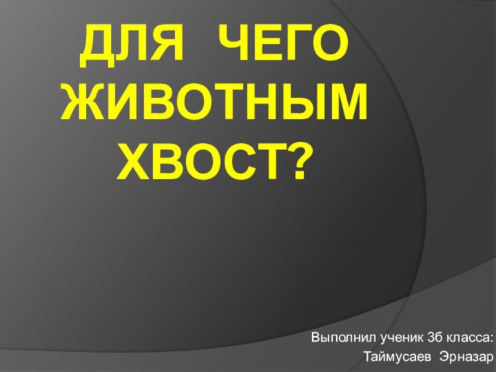 для  чего  Животным  Хвост?Выполнил ученик 3б класса:Таймусаев Эрназар