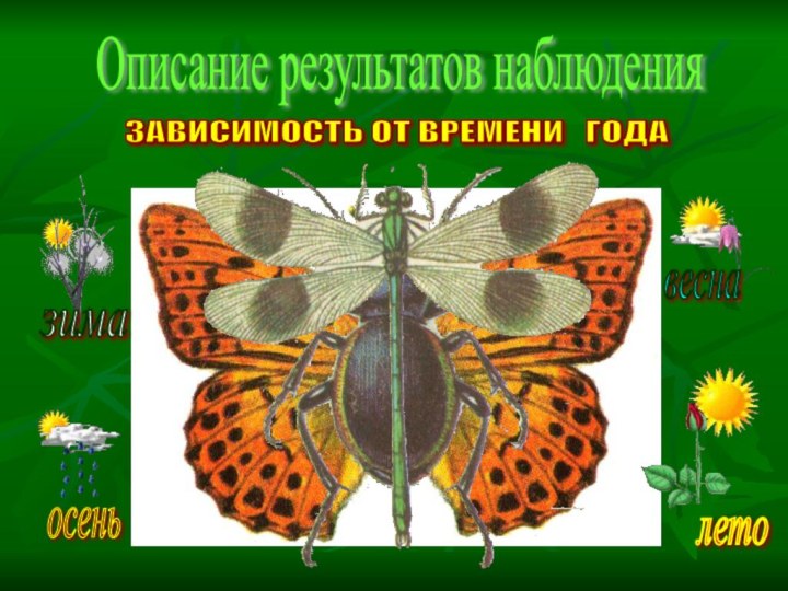 Описание результатов наблюдения ЗАВИСИМОСТЬ ОТ ВРЕМЕНИ  ГОДА