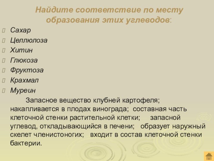 Найдите соответствие по месту образования этих углеводов:СахарЦеллюлозаХитинГлюкозаФруктозаКрахмалМуреин