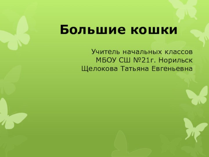 Учитель начальных классов МБОУ СШ №21г. Норильск Щелокова Татьяна Евгеньевна Большие кошки