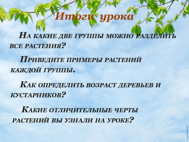 Итоги урока	На какие две группы можно разделить все растения?	Как определить возраст деревьев