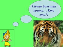 Презентация по окружающему миру на тему  Животные Хабаровского края (3 класс)