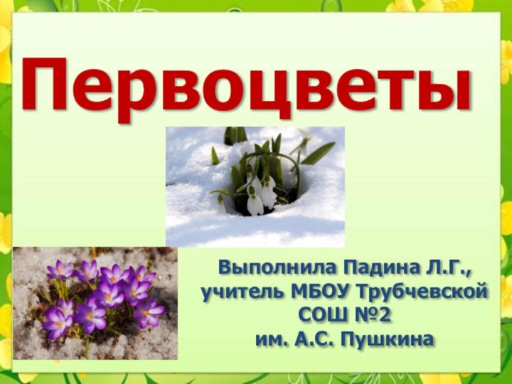 ПервоцветыВыполнила Падина Л.Г., учитель МБОУ Трубчевской СОШ №2 им. А.С. Пушкина