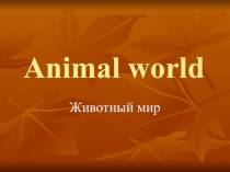 Презентация по английскому языку для 5 класса по теме Enimal World