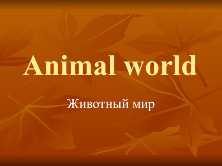 Animal worldЖивотный мир