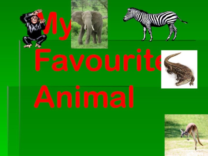 My Favourite Animal