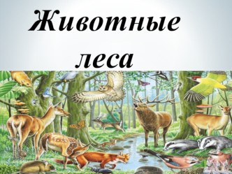 Презентация по окружающему миру Животные леса